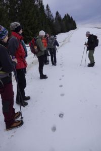 _dsc5312_unsere_gruppe_auf_der_wolfsspur.jpg