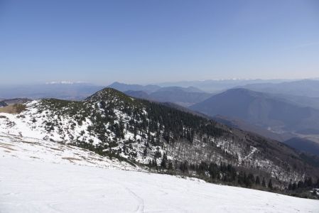 _dsc5360.jpg