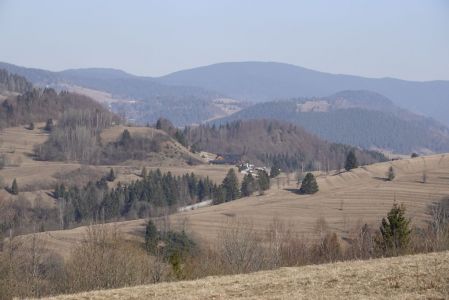 _dsc5407_k_serei_syrex.jpg