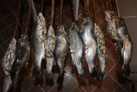 _dsc5741_forelle_a_la_vlado.jpg