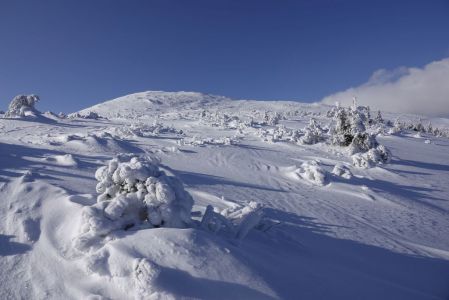 _dsc5755.jpg