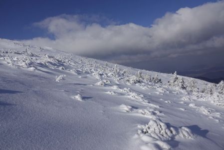 _dsc5760.jpg