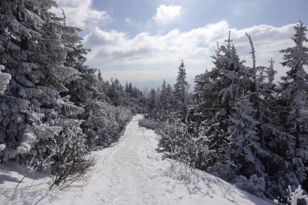 _dsc5783.jpg