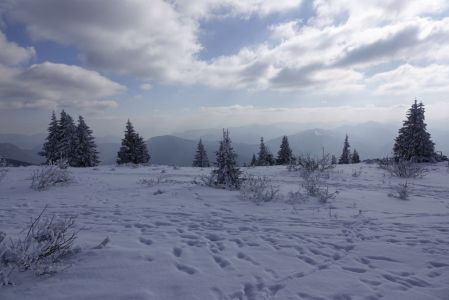 _dsc5784.jpg