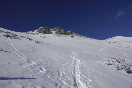 _dsc5796_chleb.jpg