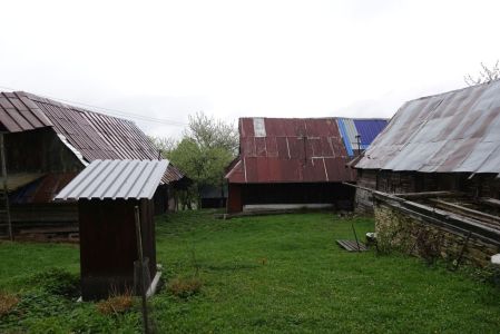 _dsc6427_rozsutec_und_blechdecher.jpg