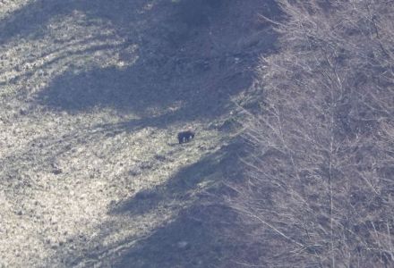 _dsc6604_b_r.jpg