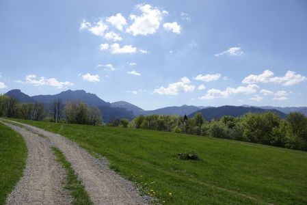 _dsc6783.jpg