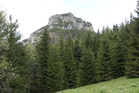 20250521_121830__dsc7387_maly_rozsutec_.jpg