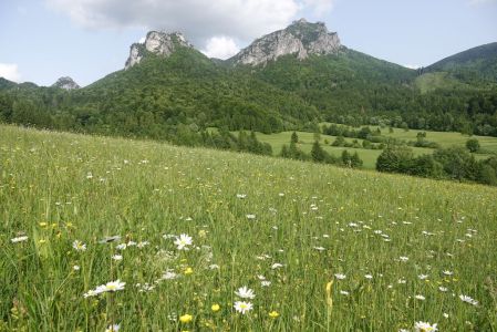 20250609_160024__dsc8258_velky_rozsutec.jpg