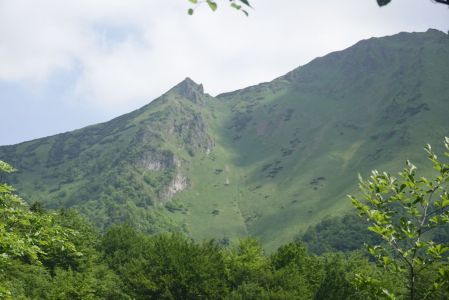 20250610_141722__dsc8295_.jpg