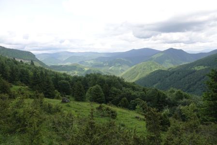 20250611_150316__dsc8412_.jpg