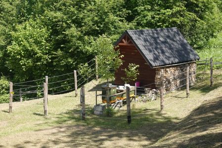 20250615_105036__dsc8593_b_rensicherer_elektrozaun.jpg