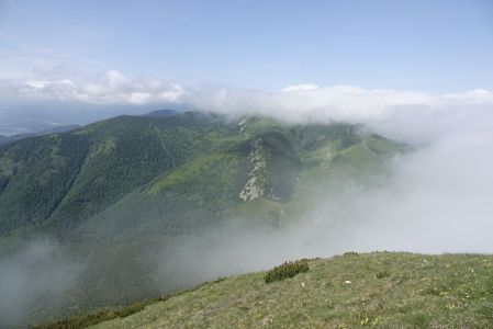 20250617_102124__dsc8725_.jpg