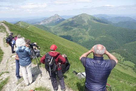 20250617_135430__dsc8761_wir_schauen_nach_b_ren.jpg