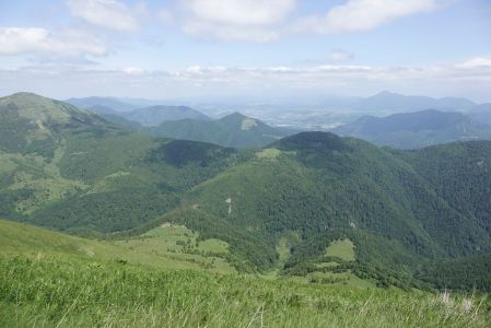 20250617_140318__dsc8771_.jpg