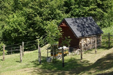 20250622_110038__dsc9070_b_rensicherer_elektrozaun.jpg