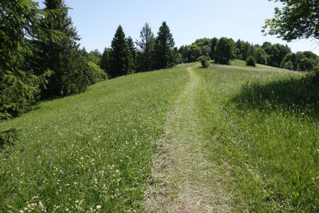 20250622_112020__dsc9071_.jpg