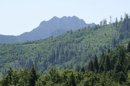 20250622_112708__dsc9073_velky_rozsutec.jpg