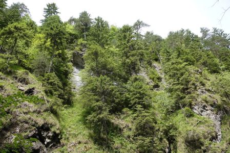 20250623_110448__dsc9143_.jpg