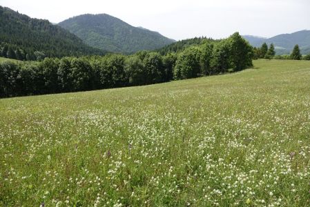 20250623_123836__dsc9165_.jpg