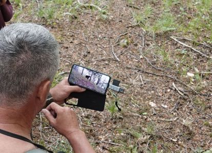 20250624_115728__dsc9216_b_r_aus_der_fotofalle.jpg