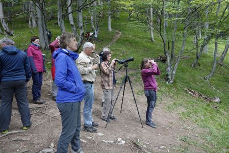 20250624_150640__dsc9238_schauen_nach_b_ren.jpg