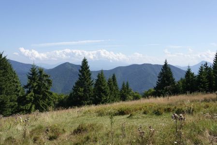 20250904_122938__dsc9724_.jpg