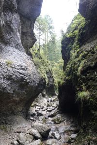 20250908_110844__dsc9863_.jpg