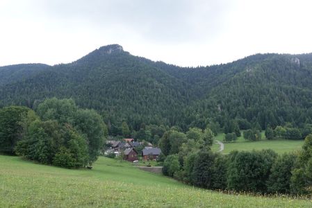 20250908_122156__dsc9870_podrozsutec.jpg