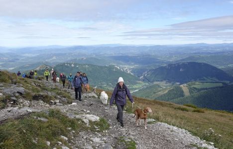 20250915_104434__dsc0124_.jpg