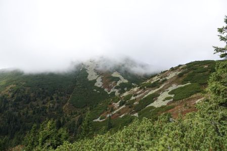 20250915_120938__dsc0132_.jpg