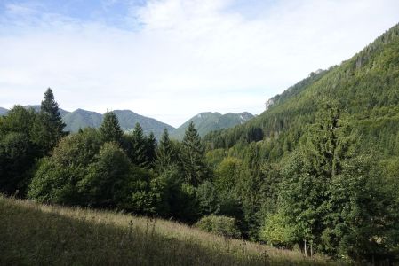 20250918_100138__dsc0254_.jpg
