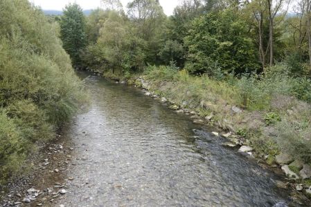 20250923_094920__dsc0408_.jpg