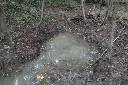 20250923_100746__dsc0412_hirschsuhle_.jpg