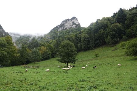 20250924_102942__dsc0482_ursprungliche_walaska_adlerfels.jpg