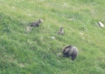 21.6. - 28.6.2025 Naturreise im Nationalpark Mala Fatra und Umgebung