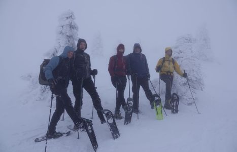 20260210_103702_dsc1106_gruppe_mit_schneeschuhen.jpg