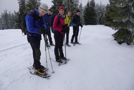 20260211_132332_dsc1162_gruppe_an_frischer_wolfsspur.jpg