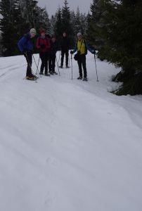 20260211_132402_dsc1163_gruppe_an_frischer_wolfsspur.jpg