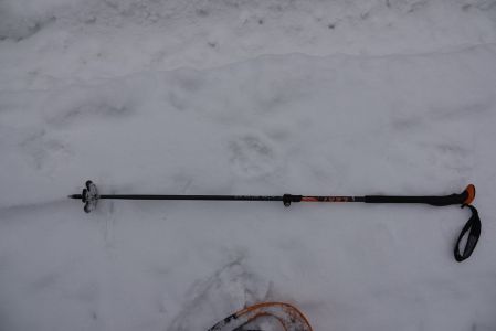 20260211_141812_dsc1166_schttl_nge_vom_wolf_130cm.jpg