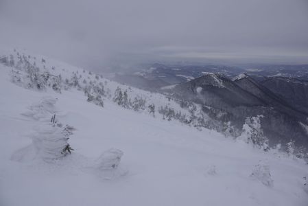 20260216_102148_dsc1308.jpg