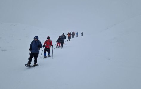 20260216_113955.jpg