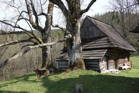 20260419_102338__dsc1769_.jpg