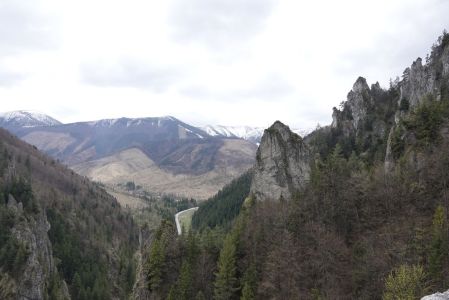 20260421_105038__dsc1875_.jpg