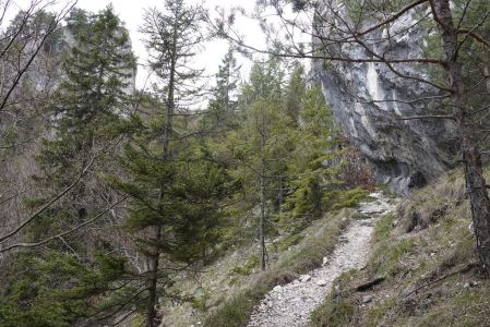 20260421_112318__dsc1885_.jpg