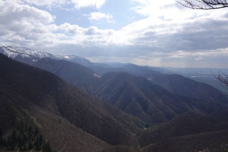 20260421_150710__dsc1909_.jpg