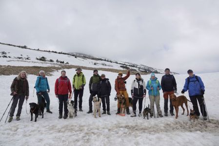 20260424_095900__dsc2000_hundewandern_im_schnee_.jpg