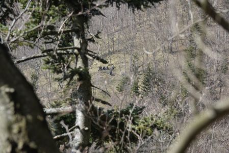 20260428_145716__dsc2108_der_bodenteam_.jpg