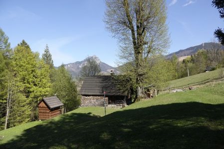 20260430_151810__dsc2191_.jpg
